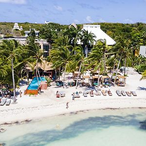 Mayan Monkey Isla Mujeres - Social Hotel (Adults Only)